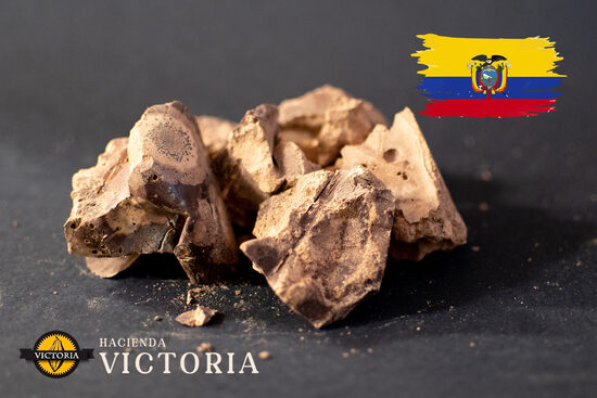 Какао-масса Victoria Special Select Arriba Premium